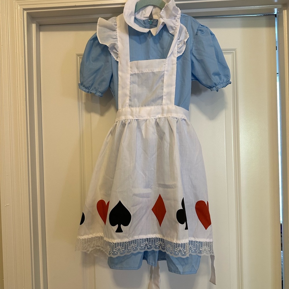 Girls Storybook Alice in Wonderland costume